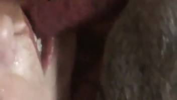 Stunning novice hottie performs an intense oral act on her beagle.