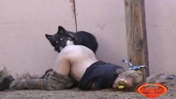 Big-bootied blonde whore messes around with a canine in homemade animal-themed porn