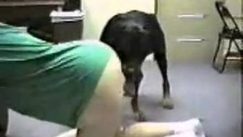 Sexy babe in green tee getting banged by a black canine