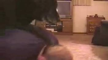 Guy in white socks being screwed by a perverted black canine