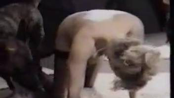 MILFs in stockings being collectively screwed by a canine