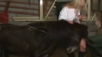 Blonde beauty directs an enormous stallion dick inward