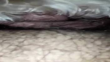 Bearded dude thrusting his dick further and further inward