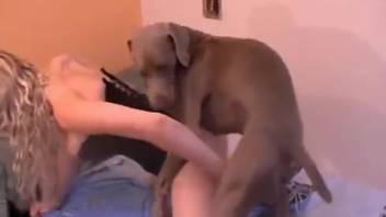 Curvy babe in a disguise expertly blows her pup's massive cock
